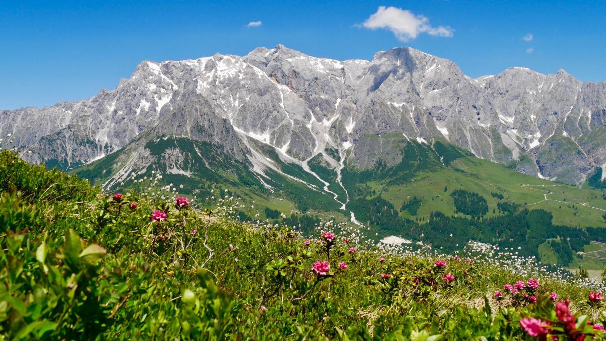 Apartament Landhaus Rieding Mühlbach am Hochkönig Zewnętrze zdjęcie