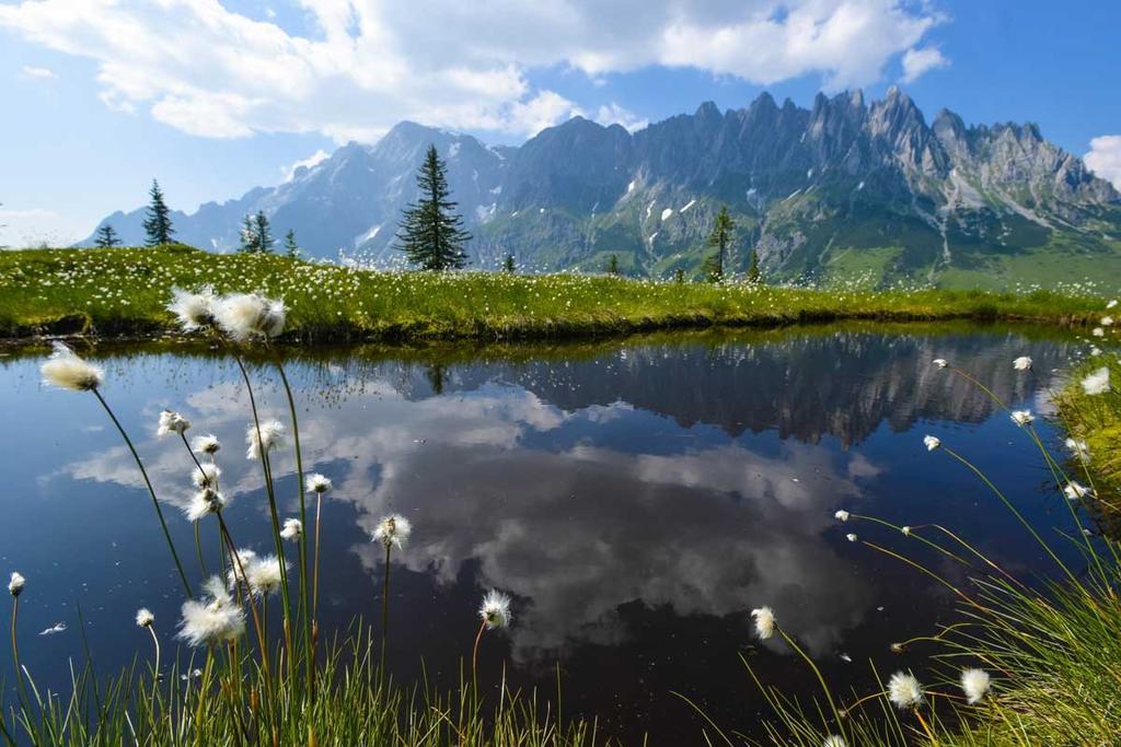 Apartament Landhaus Rieding Mühlbach am Hochkönig Zewnętrze zdjęcie