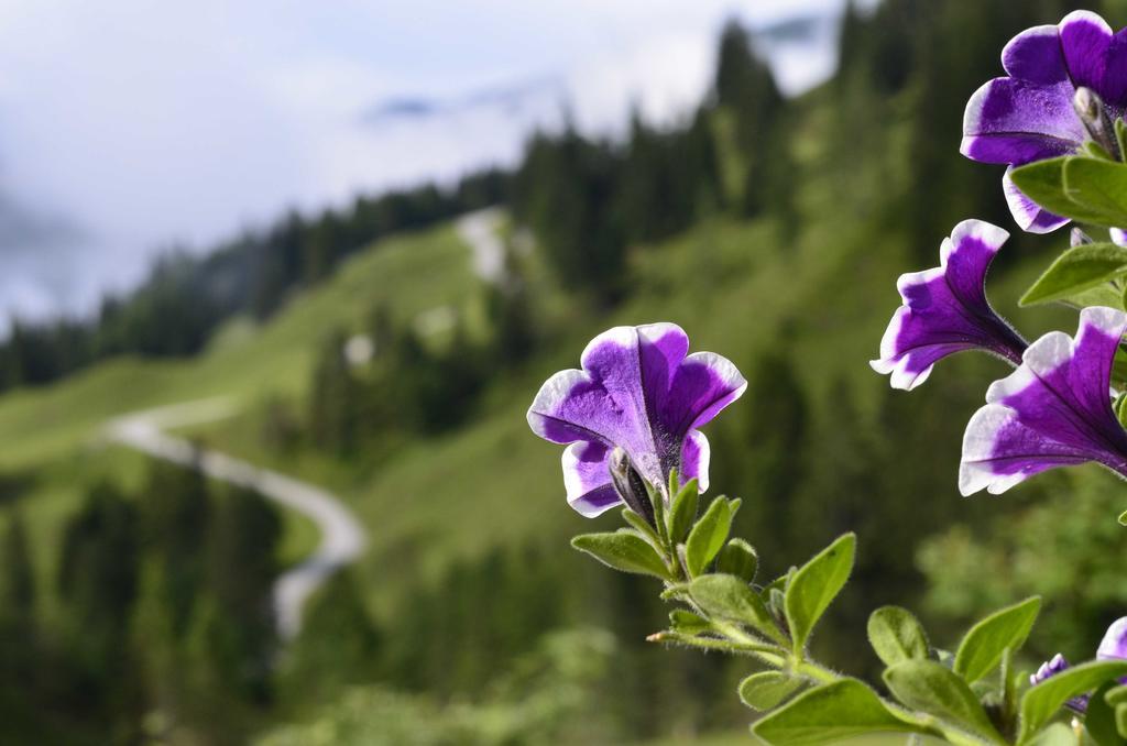 Apartament Landhaus Rieding Mühlbach am Hochkönig Zewnętrze zdjęcie