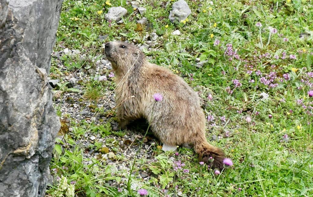 Apartament Landhaus Rieding Mühlbach am Hochkönig Zewnętrze zdjęcie